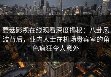 蘑菇影视在线观看深度揭秘：八卦风波背后，业内人士在机场贵宾室的角色疯狂令人意外