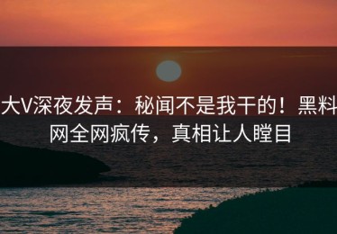 大V深夜发声：秘闻不是我干的！黑料网全网疯传，真相让人瞠目