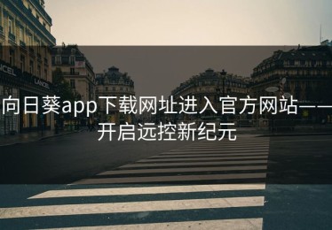 向日葵app下载网址进入官方网站——开启远控新纪元