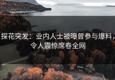 探花突发：业内人士被曝曾参与爆料，令人震惊席卷全网