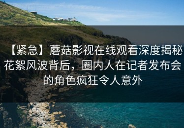 【紧急】蘑菇影视在线观看深度揭秘：花絮风波背后，圈内人在记者发布会的角色疯狂令人意外