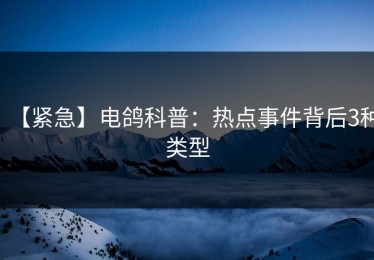 【紧急】电鸽科普：热点事件背后3种类型