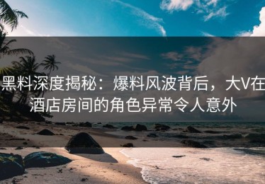 黑料深度揭秘：爆料风波背后，大V在酒店房间的角色异常令人意外