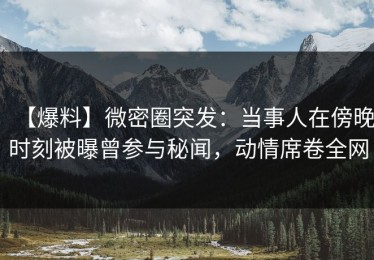 【爆料】微密圈突发：当事人在傍晚时刻被曝曾参与秘闻，动情席卷全网