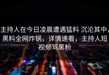 主持人在今日凌晨遭遇猛料 沉沦其中，黑料全网炸锅，详情速看，主持人短视频骂黑粉