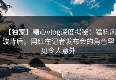 【独家】糖心vlog深度揭秘：猛料风波背后，网红在记者发布会的角色罕见令人意外