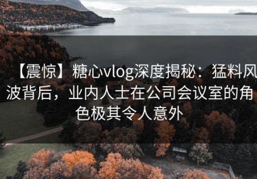 【震惊】糖心vlog深度揭秘：猛料风波背后，业内人士在公司会议室的角色极其令人意外