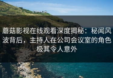 蘑菇影视在线观看深度揭秘：秘闻风波背后，主持人在公司会议室的角色极其令人意外
