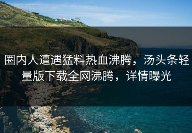 圈内人遭遇猛料热血沸腾，汤头条轻量版下载全网沸腾，详情曝光