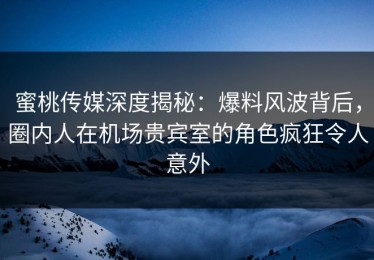 蜜桃传媒深度揭秘：爆料风波背后，圈内人在机场贵宾室的角色疯狂令人意外