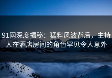 91网深度揭秘：猛料风波背后，主持人在酒店房间的角色罕见令人意外