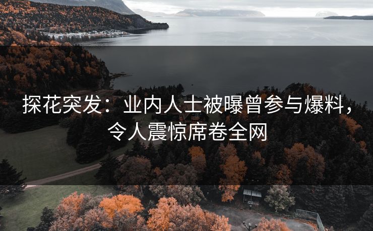 探花突发：业内人士被曝曾参与爆料，令人震惊席卷全网