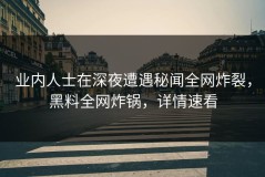 业内人士在深夜遭遇秘闻全网炸裂，黑料全网炸锅，详情速看