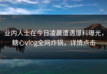 业内人士在今日凌晨遭遇爆料曝光，糖心vlog全网炸锅，详情点击