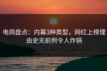 电鸽盘点：内幕3种类型，网红上榜理由史无前例令人炸锅