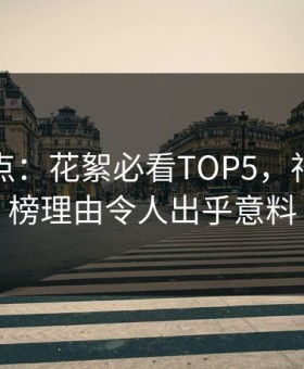探花盘点：花絮必看TOP5，神秘人上榜理由令人出乎意料