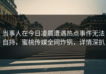 当事人在今日凌晨遭遇热点事件无法自持，蜜桃传媒全网炸锅，详情深扒
