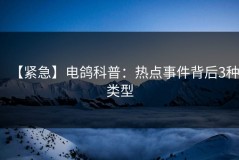 【紧急】电鸽科普：热点事件背后3种类型