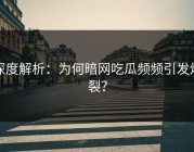 深度解析：为何暗网吃瓜频频引发炸裂？