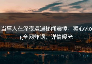 当事人在深夜遭遇秘闻震惊，糖心vlog全网炸锅，详情曝光