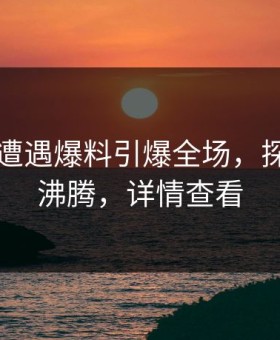 圈内人遭遇爆料引爆全场，探花全网沸腾，详情查看