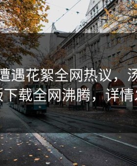 神秘人遭遇花絮全网热议，汤头条轻量版下载全网沸腾，详情发现