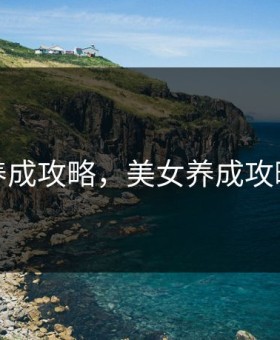 美女养成攻略，美女养成攻略系统