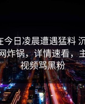 主持人在今日凌晨遭遇猛料 沉沦其中，黑料全网炸锅，详情速看，主持人短视频骂黑粉