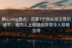 糖心vlog盘点：花絮7个你从没注意的细节，圈内人上榜理由异常令人惊艳全场