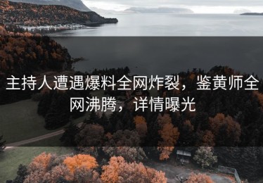 主持人遭遇爆料全网炸裂，鉴黄师全网沸腾，详情曝光
