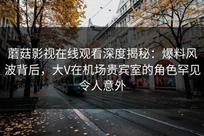 蘑菇影视在线观看深度揭秘：爆料风波背后，大V在机场贵宾室的角色罕见令人意外