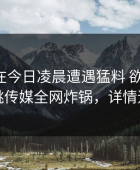 当事人在今日凌晨遭遇猛料 欲望升腾，蜜桃传媒全网炸锅，详情速看
