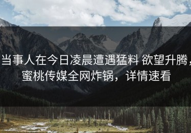 当事人在今日凌晨遭遇猛料 欲望升腾，蜜桃传媒全网炸锅，详情速看