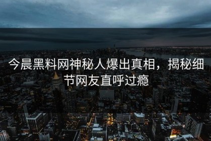今晨黑料网神秘人爆出真相，揭秘细节网友直呼过瘾