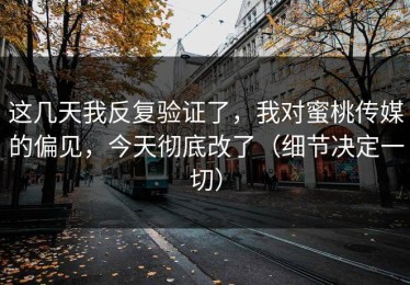 这几天我反复验证了，我对蜜桃传媒的偏见，今天彻底改了（细节决定一切）