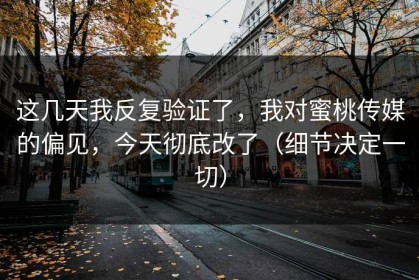 这几天我反复验证了，我对蜜桃传媒的偏见，今天彻底改了（细节决定一切）
