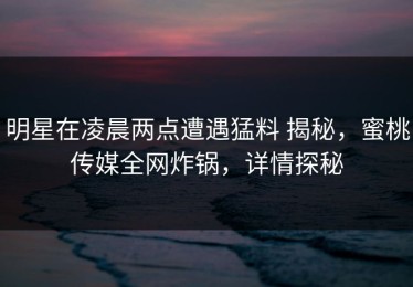 明星在凌晨两点遭遇猛料 揭秘，蜜桃传媒全网炸锅，详情探秘