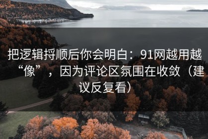 把逻辑捋顺后你会明白：91网越用越“像”，因为评论区氛围在收敛（建议反复看）