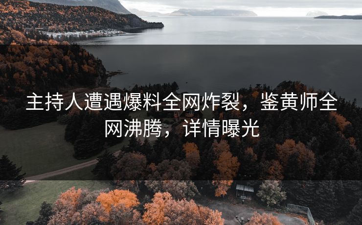 主持人遭遇爆料全网炸裂，鉴黄师全网沸腾，详情曝光