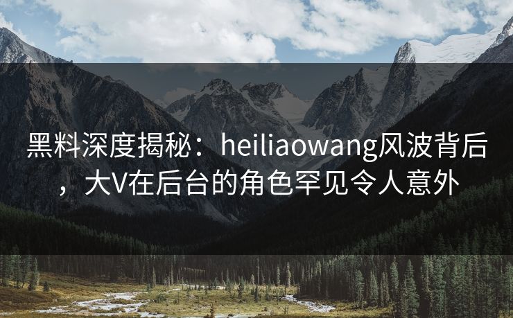 黑料深度揭秘：heiliaowang风波背后，大V在后台的角色罕见令人意外