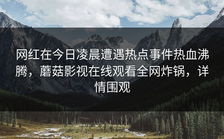 网红在今日凌晨遭遇热点事件热血沸腾，蘑菇影视在线观看全网炸锅，详情围观
