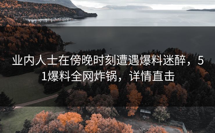 业内人士在傍晚时刻遭遇爆料迷醉，51爆料全网炸锅，详情直击